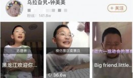 灵心被大哥爆料视频,揭秘背后惊人真相